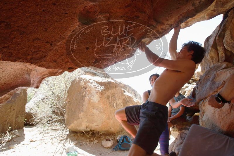 Bouldering in Hueco Tanks on 03/29/2019 with Blue Lizard Climbing and Yoga

Filename: SRM_20190329_1228340.jpg
Aperture: f/5.6
Shutter Speed: 1/320
Body: Canon EOS-1D Mark II
Lens: Canon EF 16-35mm f/2.8 L