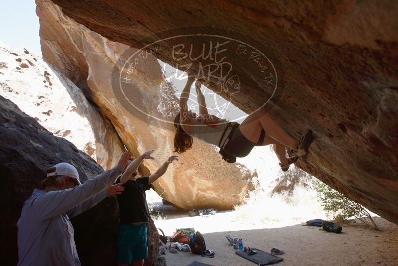 Bouldering in Hueco Tanks on 03/29/2019 with Blue Lizard Climbing and Yoga

Filename: SRM_20190329_1230300.jpg
Aperture: f/5.6
Shutter Speed: 1/320
Body: Canon EOS-1D Mark II
Lens: Canon EF 16-35mm f/2.8 L