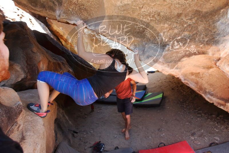 Bouldering in Hueco Tanks on 03/29/2019 with Blue Lizard Climbing and Yoga

Filename: SRM_20190329_1305171.jpg
Aperture: f/5.6
Shutter Speed: 1/200
Body: Canon EOS-1D Mark II
Lens: Canon EF 16-35mm f/2.8 L