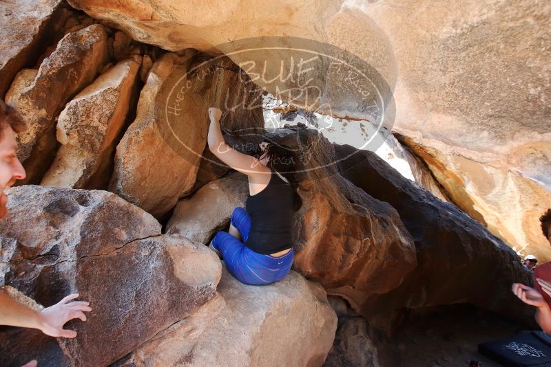 Bouldering in Hueco Tanks on 03/29/2019 with Blue Lizard Climbing and Yoga

Filename: SRM_20190329_1305230.jpg
Aperture: f/5.6
Shutter Speed: 1/160
Body: Canon EOS-1D Mark II
Lens: Canon EF 16-35mm f/2.8 L