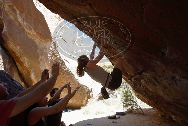 Bouldering in Hueco Tanks on 03/29/2019 with Blue Lizard Climbing and Yoga

Filename: SRM_20190329_1309320.jpg
Aperture: f/5.6
Shutter Speed: 1/500
Body: Canon EOS-1D Mark II
Lens: Canon EF 16-35mm f/2.8 L
