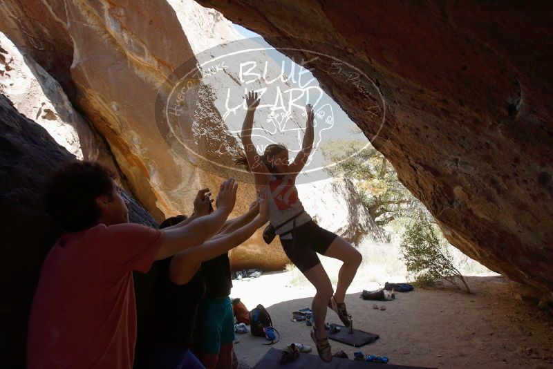 Bouldering in Hueco Tanks on 03/29/2019 with Blue Lizard Climbing and Yoga

Filename: SRM_20190329_1309340.jpg
Aperture: f/5.6
Shutter Speed: 1/640
Body: Canon EOS-1D Mark II
Lens: Canon EF 16-35mm f/2.8 L