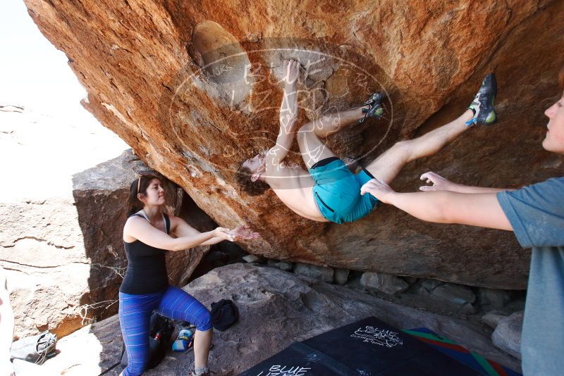 Bouldering in Hueco Tanks on 03/29/2019 with Blue Lizard Climbing and Yoga

Filename: SRM_20190329_1421190.jpg
Aperture: f/5.6
Shutter Speed: 1/250
Body: Canon EOS-1D Mark II
Lens: Canon EF 16-35mm f/2.8 L