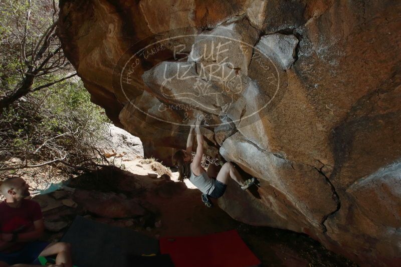 Bouldering in Hueco Tanks on 03/29/2019 with Blue Lizard Climbing and Yoga

Filename: SRM_20190329_1438590.jpg
Aperture: f/5.6
Shutter Speed: 1/250
Body: Canon EOS-1D Mark II
Lens: Canon EF 16-35mm f/2.8 L