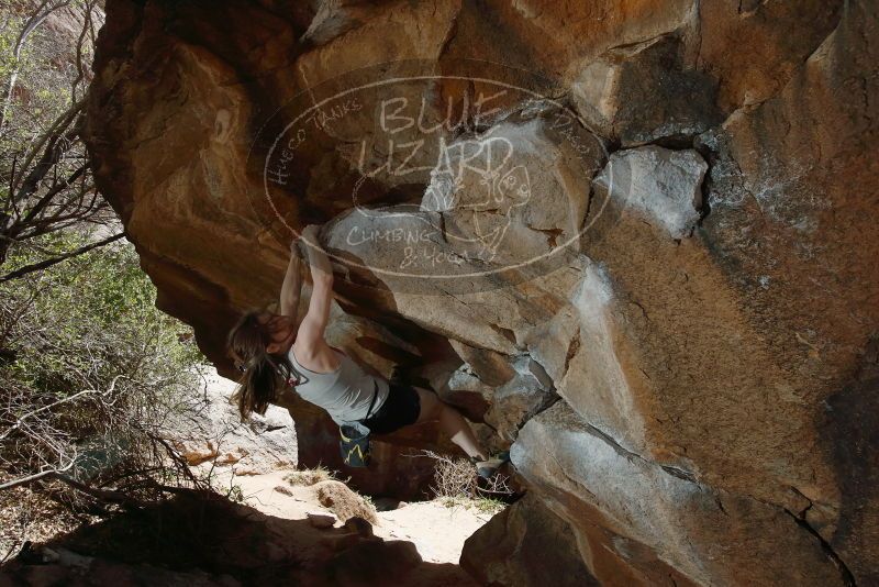 Bouldering in Hueco Tanks on 03/29/2019 with Blue Lizard Climbing and Yoga

Filename: SRM_20190329_1439110.jpg
Aperture: f/5.6
Shutter Speed: 1/250
Body: Canon EOS-1D Mark II
Lens: Canon EF 16-35mm f/2.8 L