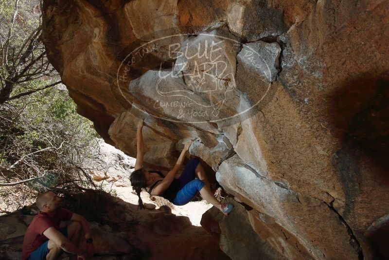Bouldering in Hueco Tanks on 03/29/2019 with Blue Lizard Climbing and Yoga

Filename: SRM_20190329_1444030.jpg
Aperture: f/5.6
Shutter Speed: 1/250
Body: Canon EOS-1D Mark II
Lens: Canon EF 16-35mm f/2.8 L