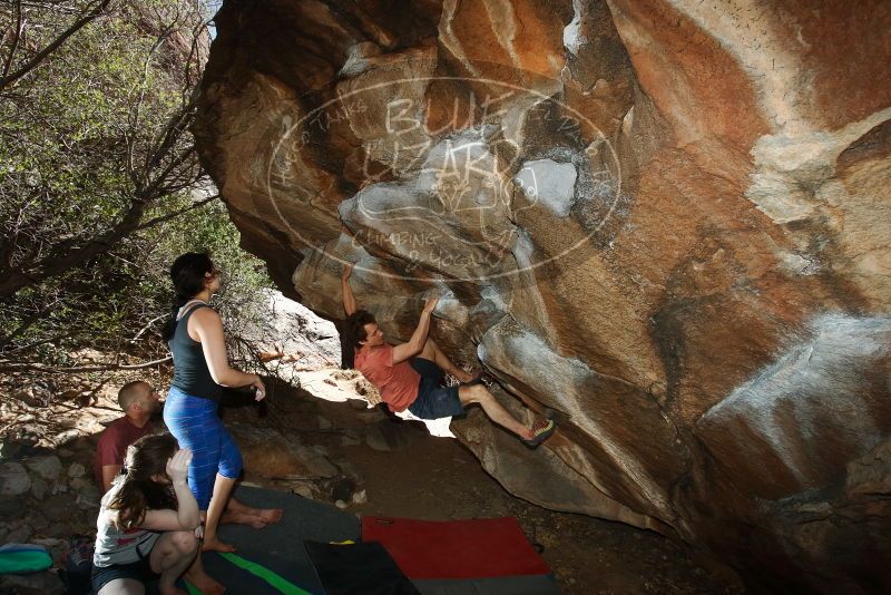 Bouldering in Hueco Tanks on 03/29/2019 with Blue Lizard Climbing and Yoga

Filename: SRM_20190329_1446350.jpg
Aperture: f/5.6
Shutter Speed: 1/250
Body: Canon EOS-1D Mark II
Lens: Canon EF 16-35mm f/2.8 L