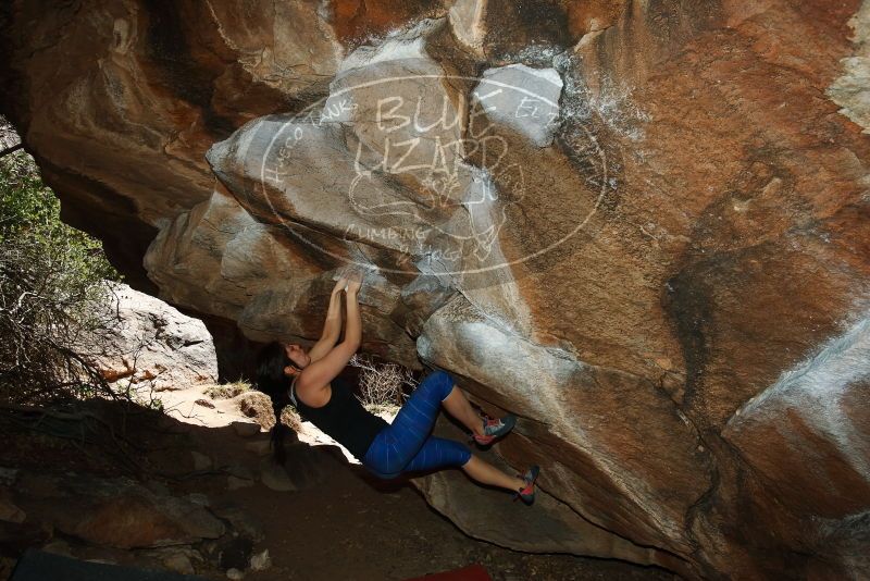 Bouldering in Hueco Tanks on 03/29/2019 with Blue Lizard Climbing and Yoga

Filename: SRM_20190329_1456450.jpg
Aperture: f/6.3
Shutter Speed: 1/250
Body: Canon EOS-1D Mark II
Lens: Canon EF 16-35mm f/2.8 L