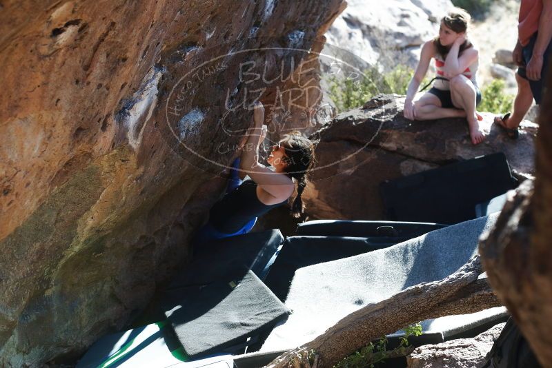 Bouldering in Hueco Tanks on 03/29/2019 with Blue Lizard Climbing and Yoga

Filename: SRM_20190329_1735110.jpg
Aperture: f/4.0
Shutter Speed: 1/250
Body: Canon EOS-1D Mark II
Lens: Canon EF 50mm f/1.8 II
