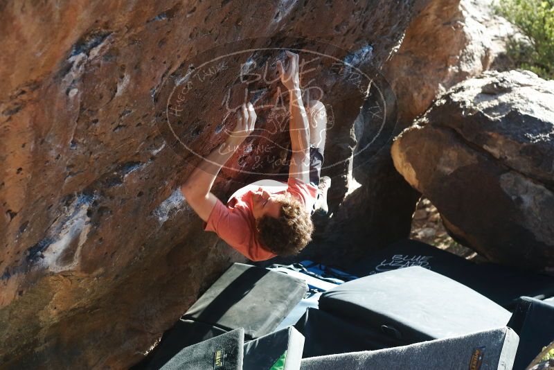 Bouldering in Hueco Tanks on 03/29/2019 with Blue Lizard Climbing and Yoga

Filename: SRM_20190329_1746210.jpg
Aperture: f/4.0
Shutter Speed: 1/250
Body: Canon EOS-1D Mark II
Lens: Canon EF 50mm f/1.8 II