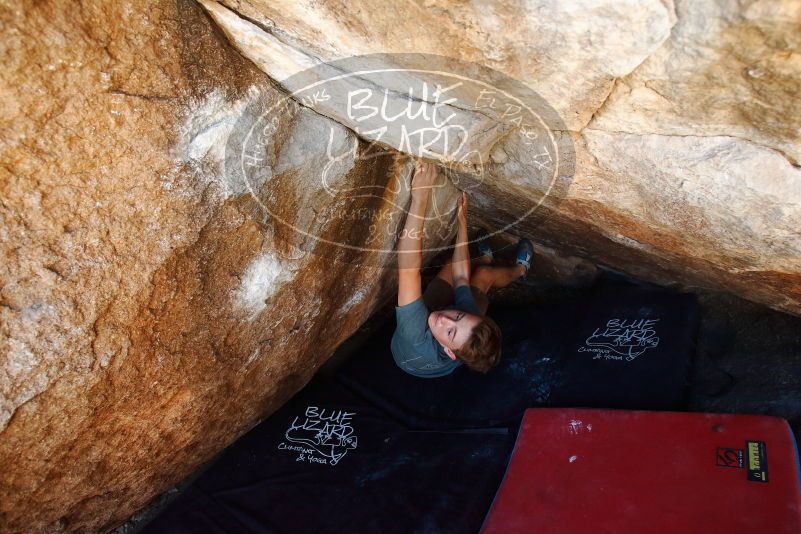 

Filename: SRM_20190329_1119130.jpg
Aperture: f/5.6
Shutter Speed: 1/200
Body: Canon EOS-1D Mark II
Lens: Canon EF 16-35mm f/2.8 L