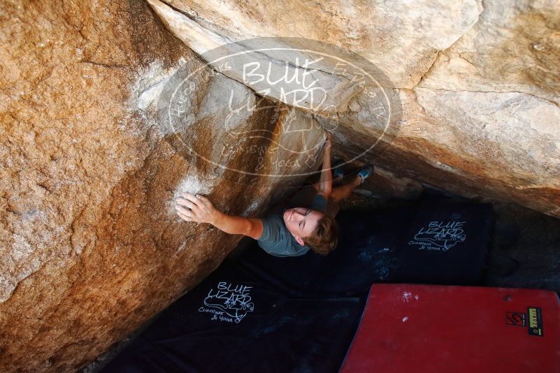 

Filename: SRM_20190329_1119141.jpg
Aperture: f/5.6
Shutter Speed: 1/200
Body: Canon EOS-1D Mark II
Lens: Canon EF 16-35mm f/2.8 L