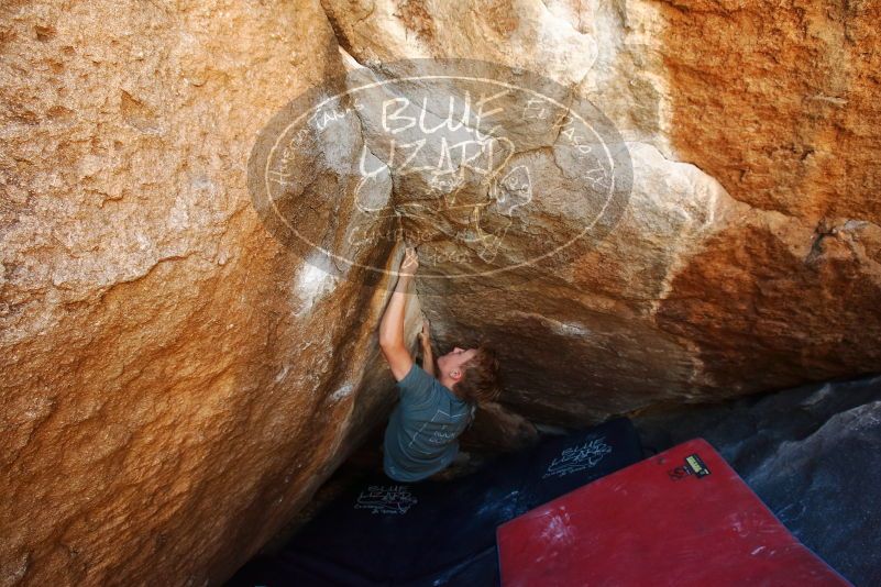 

Filename: SRM_20190329_1125320.jpg
Aperture: f/5.6
Shutter Speed: 1/200
Body: Canon EOS-1D Mark II
Lens: Canon EF 16-35mm f/2.8 L