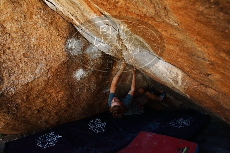 

Filename: SRM_20190329_1136080.jpg
Aperture: f/5.6
Shutter Speed: 1/250
Body: Canon EOS-1D Mark II
Lens: Canon EF 16-35mm f/2.8 L