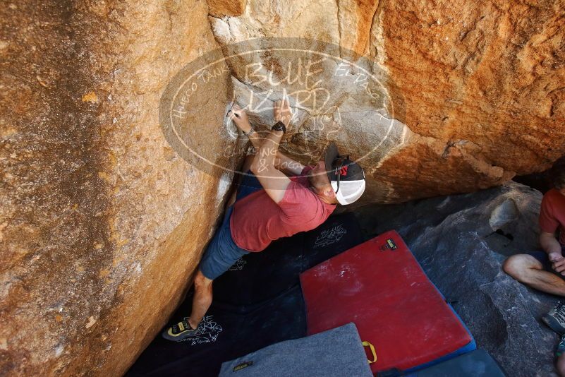 

Filename: SRM_20190329_1141560.jpg
Aperture: f/5.6
Shutter Speed: 1/200
Body: Canon EOS-1D Mark II
Lens: Canon EF 16-35mm f/2.8 L