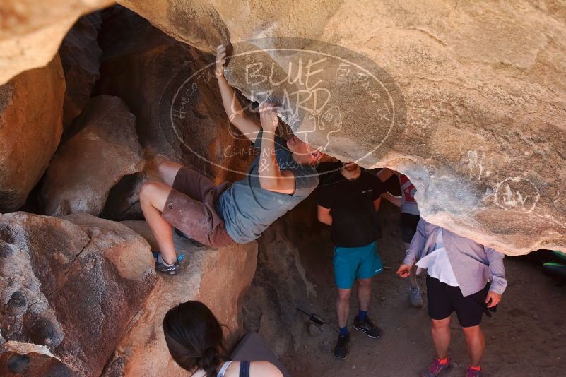 

Filename: SRM_20190329_1236120.jpg
Aperture: f/5.6
Shutter Speed: 1/250
Body: Canon EOS-1D Mark II
Lens: Canon EF 16-35mm f/2.8 L