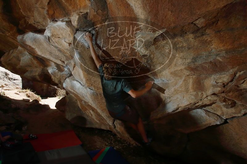 

Filename: SRM_20190329_1441010.jpg
Aperture: f/5.6
Shutter Speed: 1/250
Body: Canon EOS-1D Mark II
Lens: Canon EF 16-35mm f/2.8 L