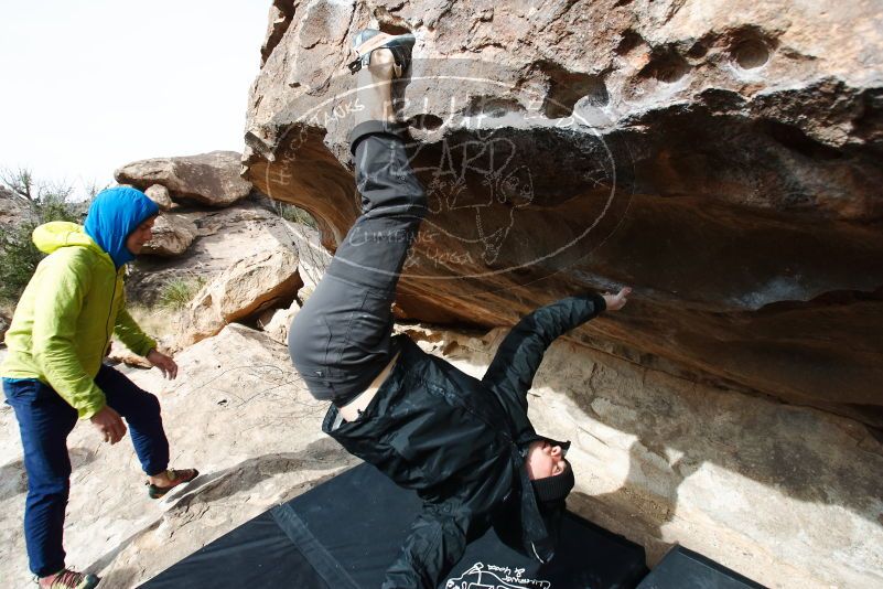 Bouldering in Hueco Tanks on 03/30/2019 with Blue Lizard Climbing and Yoga

Filename: SRM_20190330_1011150.jpg
Aperture: f/5.6
Shutter Speed: 1/250
Body: Canon EOS-1D Mark II
Lens: Canon EF 16-35mm f/2.8 L