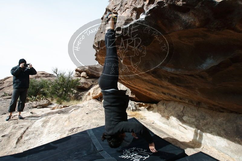 Bouldering in Hueco Tanks on 03/30/2019 with Blue Lizard Climbing and Yoga

Filename: SRM_20190330_1019110.jpg
Aperture: f/5.6
Shutter Speed: 1/320
Body: Canon EOS-1D Mark II
Lens: Canon EF 16-35mm f/2.8 L