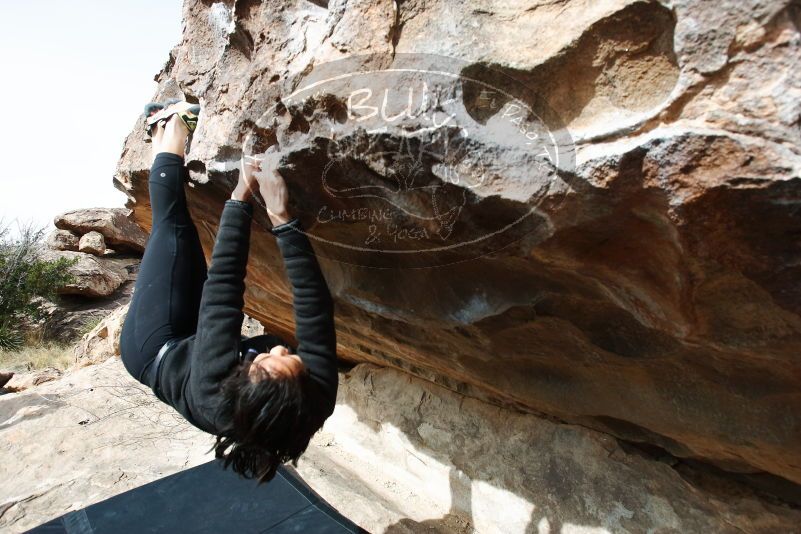 Bouldering in Hueco Tanks on 03/30/2019 with Blue Lizard Climbing and Yoga

Filename: SRM_20190330_1019440.jpg
Aperture: f/5.6
Shutter Speed: 1/250
Body: Canon EOS-1D Mark II
Lens: Canon EF 16-35mm f/2.8 L