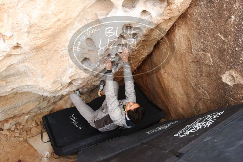 Bouldering in Hueco Tanks on 03/30/2019 with Blue Lizard Climbing and Yoga

Filename: SRM_20190330_1120330.jpg
Aperture: f/5.6
Shutter Speed: 1/160
Body: Canon EOS-1D Mark II
Lens: Canon EF 16-35mm f/2.8 L