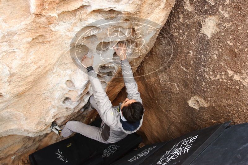 Bouldering in Hueco Tanks on 03/30/2019 with Blue Lizard Climbing and Yoga

Filename: SRM_20190330_1120450.jpg
Aperture: f/5.6
Shutter Speed: 1/200
Body: Canon EOS-1D Mark II
Lens: Canon EF 16-35mm f/2.8 L