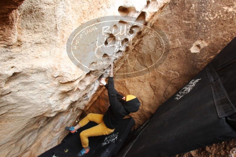 Bouldering in Hueco Tanks on 03/30/2019 with Blue Lizard Climbing and Yoga

Filename: SRM_20190330_1124050.jpg
Aperture: f/5.0
Shutter Speed: 1/200
Body: Canon EOS-1D Mark II
Lens: Canon EF 16-35mm f/2.8 L