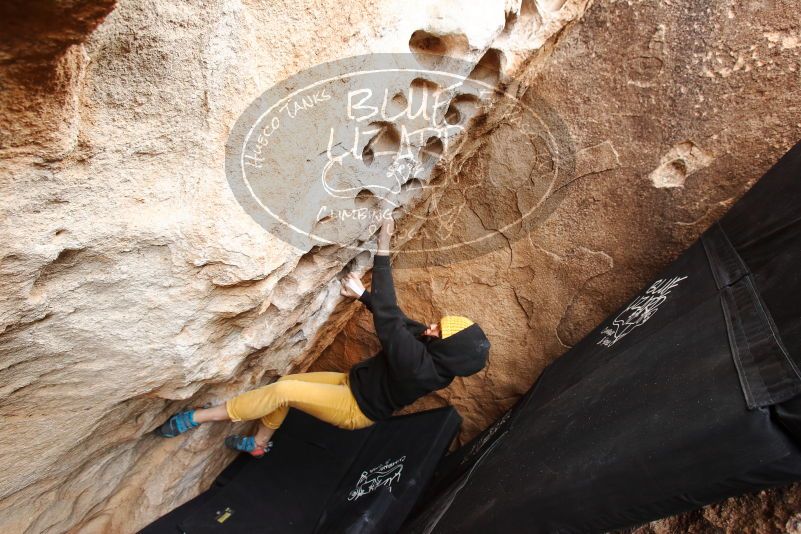 Bouldering in Hueco Tanks on 03/30/2019 with Blue Lizard Climbing and Yoga

Filename: SRM_20190330_1124100.jpg
Aperture: f/5.0
Shutter Speed: 1/160
Body: Canon EOS-1D Mark II
Lens: Canon EF 16-35mm f/2.8 L