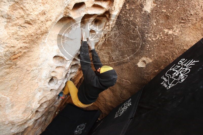 Bouldering in Hueco Tanks on 03/30/2019 with Blue Lizard Climbing and Yoga

Filename: SRM_20190330_1124260.jpg
Aperture: f/5.0
Shutter Speed: 1/250
Body: Canon EOS-1D Mark II
Lens: Canon EF 16-35mm f/2.8 L
