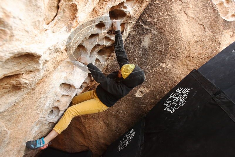 Bouldering in Hueco Tanks on 03/30/2019 with Blue Lizard Climbing and Yoga

Filename: SRM_20190330_1124390.jpg
Aperture: f/5.0
Shutter Speed: 1/320
Body: Canon EOS-1D Mark II
Lens: Canon EF 16-35mm f/2.8 L