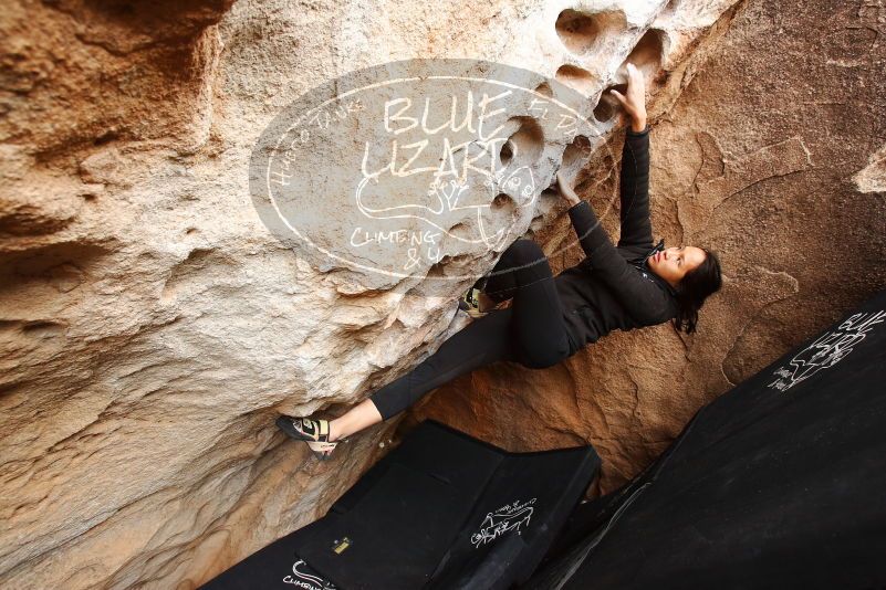 Bouldering in Hueco Tanks on 03/30/2019 with Blue Lizard Climbing and Yoga

Filename: SRM_20190330_1129380.jpg
Aperture: f/5.0
Shutter Speed: 1/200
Body: Canon EOS-1D Mark II
Lens: Canon EF 16-35mm f/2.8 L