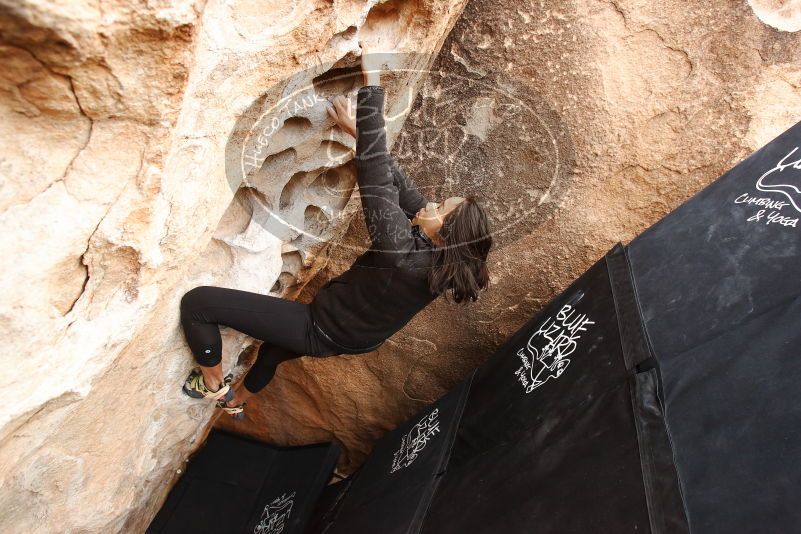 Bouldering in Hueco Tanks on 03/30/2019 with Blue Lizard Climbing and Yoga

Filename: SRM_20190330_1129560.jpg
Aperture: f/5.0
Shutter Speed: 1/250
Body: Canon EOS-1D Mark II
Lens: Canon EF 16-35mm f/2.8 L