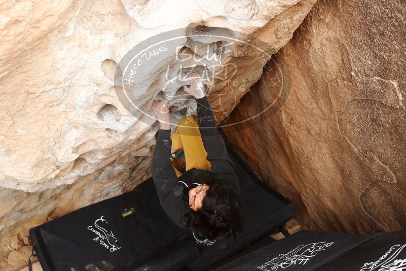 Bouldering in Hueco Tanks on 03/30/2019 with Blue Lizard Climbing and Yoga

Filename: SRM_20190330_1135090.jpg
Aperture: f/5.6
Shutter Speed: 1/200
Body: Canon EOS-1D Mark II
Lens: Canon EF 16-35mm f/2.8 L