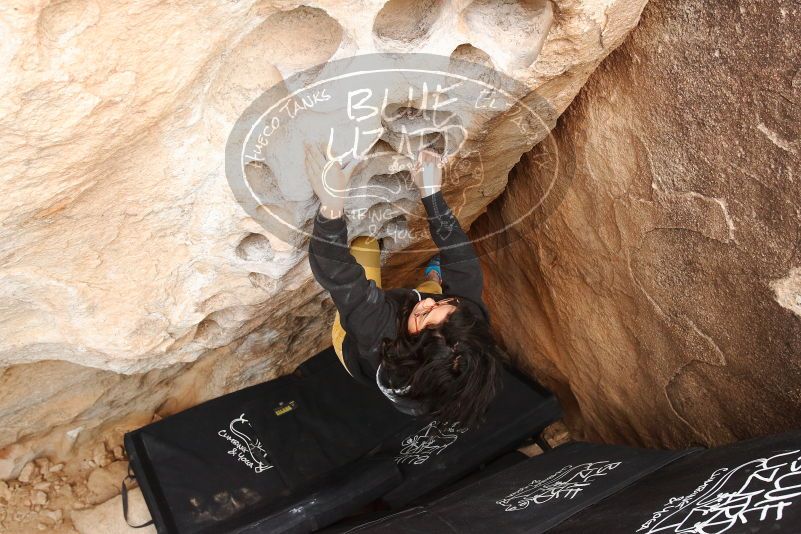 Bouldering in Hueco Tanks on 03/30/2019 with Blue Lizard Climbing and Yoga

Filename: SRM_20190330_1135190.jpg
Aperture: f/5.6
Shutter Speed: 1/250
Body: Canon EOS-1D Mark II
Lens: Canon EF 16-35mm f/2.8 L