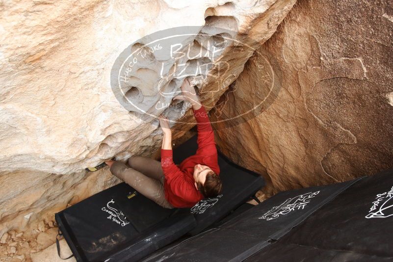 Bouldering in Hueco Tanks on 03/30/2019 with Blue Lizard Climbing and Yoga

Filename: SRM_20190330_1139530.jpg
Aperture: f/5.6
Shutter Speed: 1/200
Body: Canon EOS-1D Mark II
Lens: Canon EF 16-35mm f/2.8 L