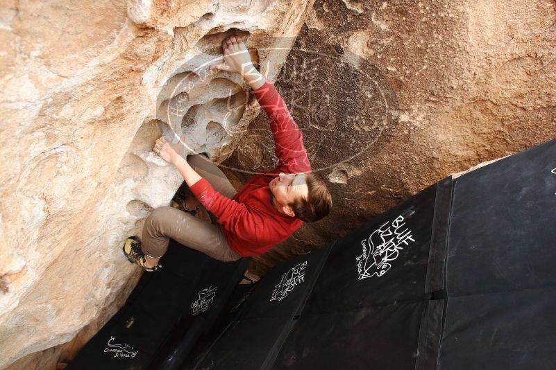 Bouldering in Hueco Tanks on 03/30/2019 with Blue Lizard Climbing and Yoga

Filename: SRM_20190330_1140160.jpg
Aperture: f/5.6
Shutter Speed: 1/250
Body: Canon EOS-1D Mark II
Lens: Canon EF 16-35mm f/2.8 L