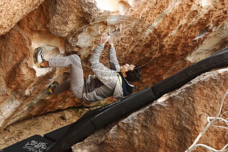 Bouldering in Hueco Tanks on 03/30/2019 with Blue Lizard Climbing and Yoga

Filename: SRM_20190330_1210230.jpg
Aperture: f/4.0
Shutter Speed: 1/400
Body: Canon EOS-1D Mark II
Lens: Canon EF 50mm f/1.8 II