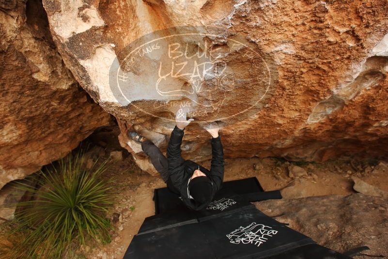 Bouldering in Hueco Tanks on 03/30/2019 with Blue Lizard Climbing and Yoga

Filename: SRM_20190330_1242410.jpg
Aperture: f/5.6
Shutter Speed: 1/400
Body: Canon EOS-1D Mark II
Lens: Canon EF 16-35mm f/2.8 L