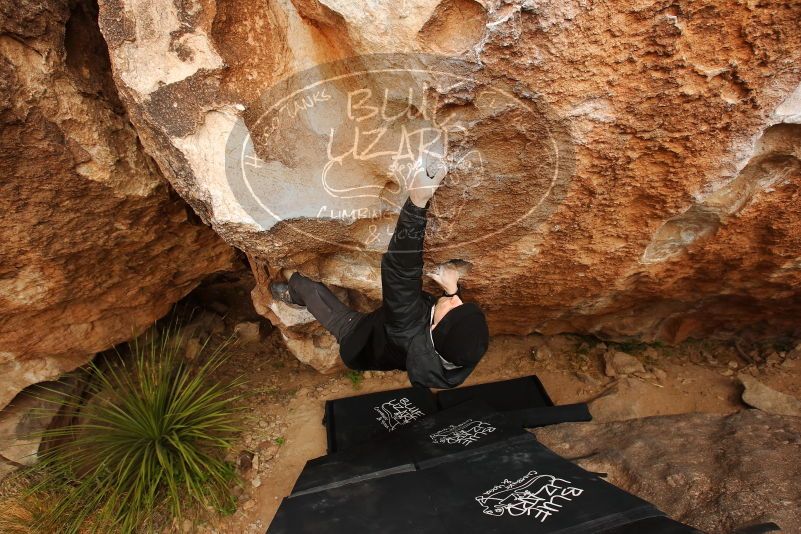 Bouldering in Hueco Tanks on 03/30/2019 with Blue Lizard Climbing and Yoga

Filename: SRM_20190330_1242430.jpg
Aperture: f/5.6
Shutter Speed: 1/320
Body: Canon EOS-1D Mark II
Lens: Canon EF 16-35mm f/2.8 L