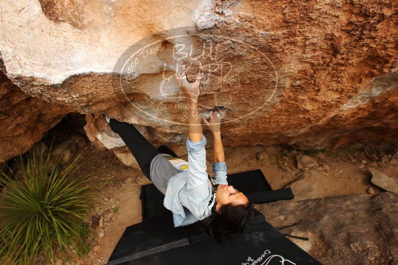 Bouldering in Hueco Tanks on 03/30/2019 with Blue Lizard Climbing and Yoga

Filename: SRM_20190330_1249340.jpg
Aperture: f/5.6
Shutter Speed: 1/320
Body: Canon EOS-1D Mark II
Lens: Canon EF 16-35mm f/2.8 L