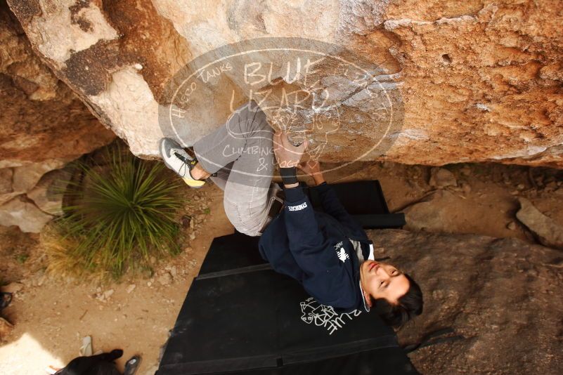 Bouldering in Hueco Tanks on 03/30/2019 with Blue Lizard Climbing and Yoga

Filename: SRM_20190330_1259390.jpg
Aperture: f/5.6
Shutter Speed: 1/320
Body: Canon EOS-1D Mark II
Lens: Canon EF 16-35mm f/2.8 L