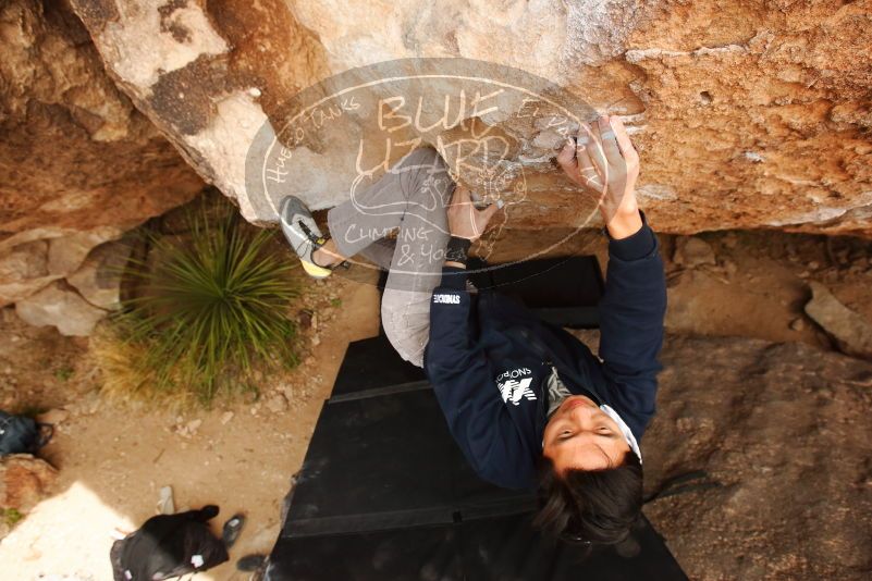 Bouldering in Hueco Tanks on 03/30/2019 with Blue Lizard Climbing and Yoga

Filename: SRM_20190330_1259410.jpg
Aperture: f/5.6
Shutter Speed: 1/320
Body: Canon EOS-1D Mark II
Lens: Canon EF 16-35mm f/2.8 L