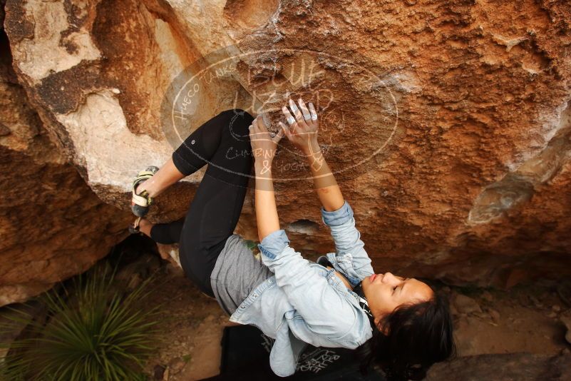 Bouldering in Hueco Tanks on 03/30/2019 with Blue Lizard Climbing and Yoga

Filename: SRM_20190330_1319060.jpg
Aperture: f/5.6
Shutter Speed: 1/400
Body: Canon EOS-1D Mark II
Lens: Canon EF 16-35mm f/2.8 L