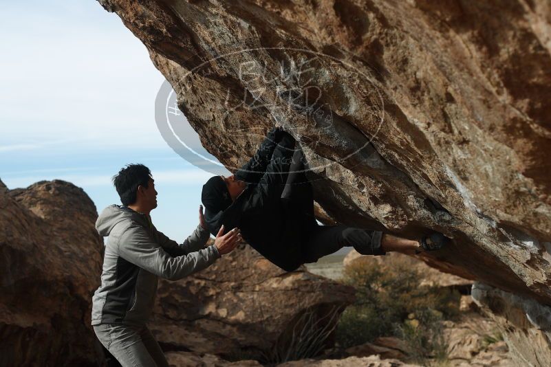 Bouldering in Hueco Tanks on 03/30/2019 with Blue Lizard Climbing and Yoga

Filename: SRM_20190330_1704220.jpg
Aperture: f/4.0
Shutter Speed: 1/640
Body: Canon EOS-1D Mark II
Lens: Canon EF 50mm f/1.8 II