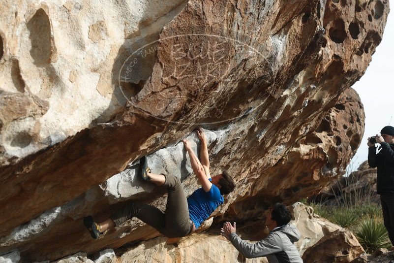 Bouldering in Hueco Tanks on 03/30/2019 with Blue Lizard Climbing and Yoga

Filename: SRM_20190330_1708470.jpg
Aperture: f/4.0
Shutter Speed: 1/500
Body: Canon EOS-1D Mark II
Lens: Canon EF 50mm f/1.8 II