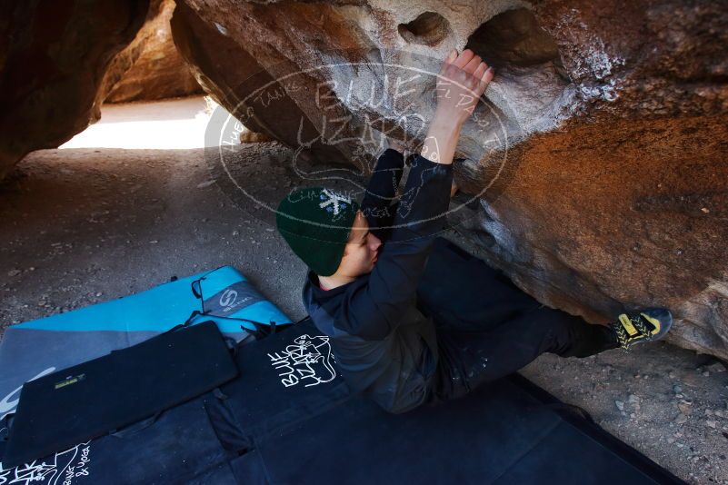 Bouldering in Hueco Tanks on 03/31/2019 with Blue Lizard Climbing and Yoga

Filename: SRM_20190331_1044270.jpg
Aperture: f/5.6
Shutter Speed: 1/250
Body: Canon EOS-1D Mark II
Lens: Canon EF 16-35mm f/2.8 L