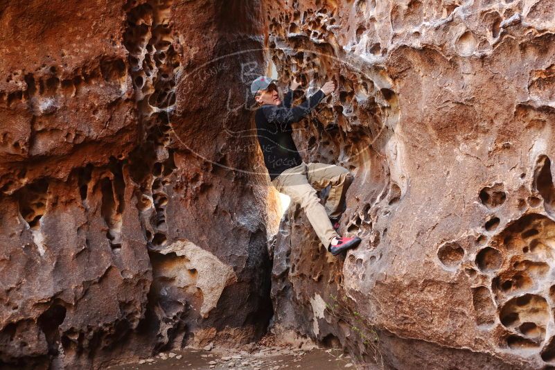 Bouldering in Hueco Tanks on 03/31/2019 with Blue Lizard Climbing and Yoga

Filename: SRM_20190331_1515480.jpg
Aperture: f/3.5
Shutter Speed: 1/80
Body: Canon EOS-1D Mark II
Lens: Canon EF 50mm f/1.8 II