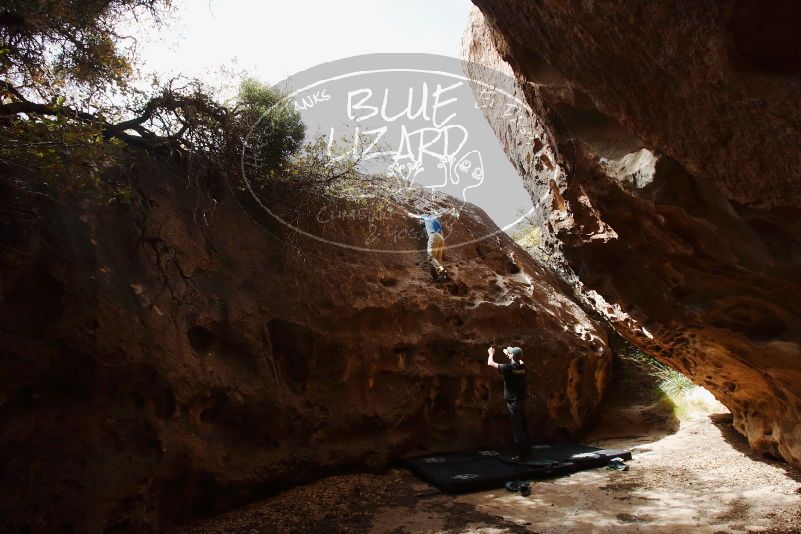 Bouldering in Hueco Tanks on 04/05/2019 with Blue Lizard Climbing and Yoga

Filename: SRM_20190405_1121330.jpg
Aperture: f/5.6
Shutter Speed: 1/400
Body: Canon EOS-1D Mark II
Lens: Canon EF 16-35mm f/2.8 L