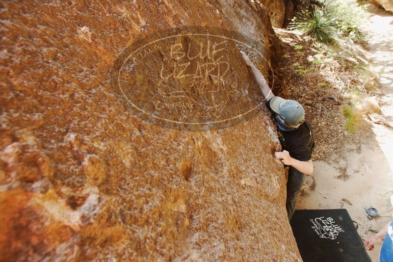 Bouldering in Hueco Tanks on 04/05/2019 with Blue Lizard Climbing and Yoga

Filename: SRM_20190405_1136390.jpg
Aperture: f/5.6
Shutter Speed: 1/160
Body: Canon EOS-1D Mark II
Lens: Canon EF 16-35mm f/2.8 L
