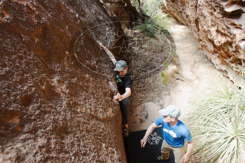 Bouldering in Hueco Tanks on 04/05/2019 with Blue Lizard Climbing and Yoga

Filename: SRM_20190405_1137330.jpg
Aperture: f/5.6
Shutter Speed: 1/100
Body: Canon EOS-1D Mark II
Lens: Canon EF 16-35mm f/2.8 L